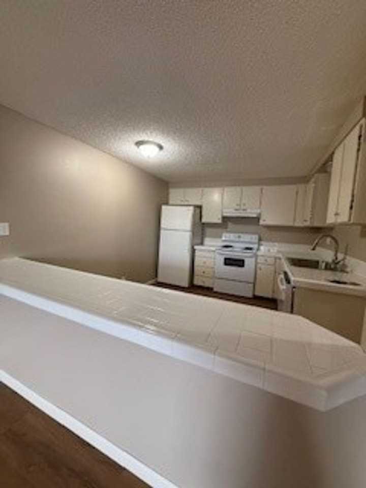 Pine Mill Apartments - Photo 4 of 25