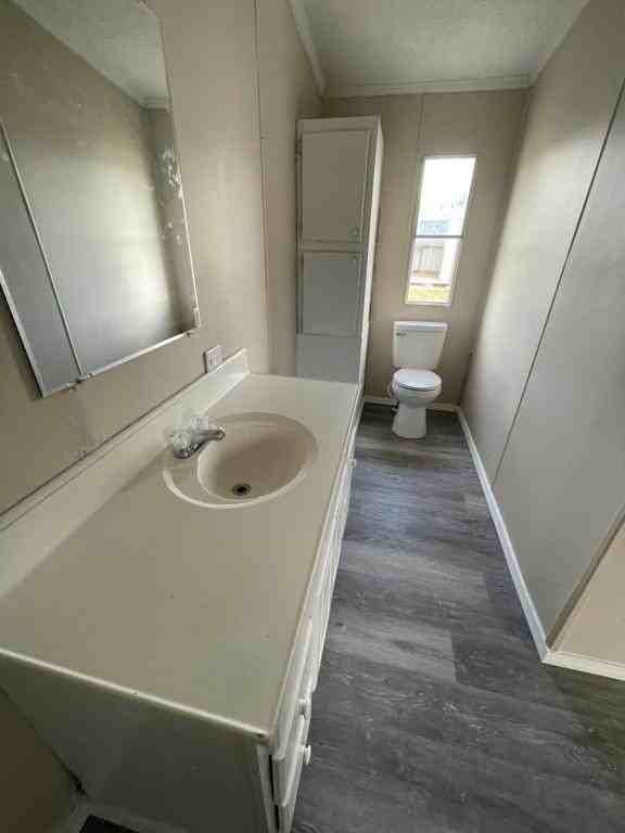 Quiet Lane - Photo 4 of 17