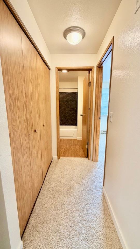 Jackson Greens - Photo 6 of 50