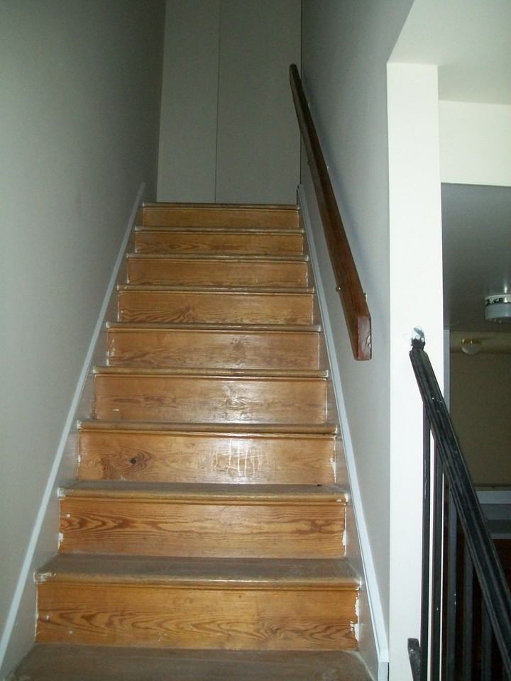 3521 Bolling Rd - Photo 6 of 13