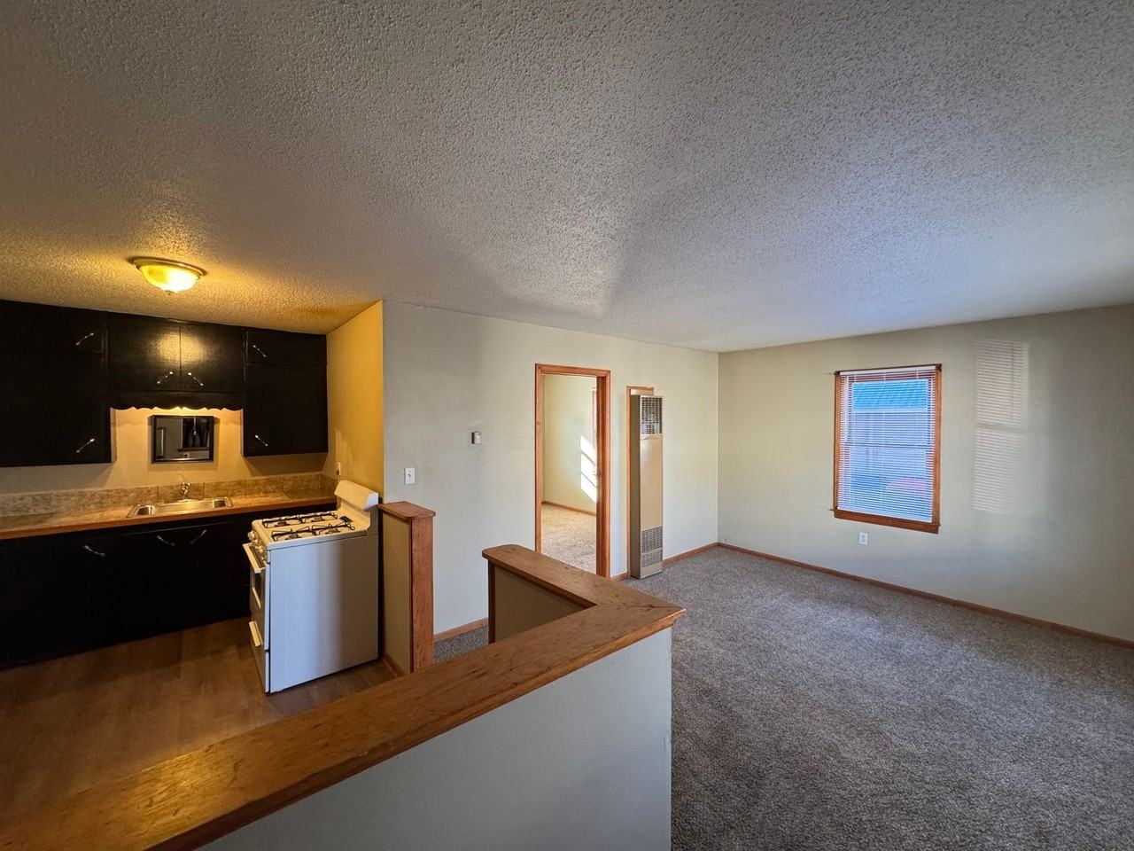 315 Jefferson Street - Photo 2 of 9