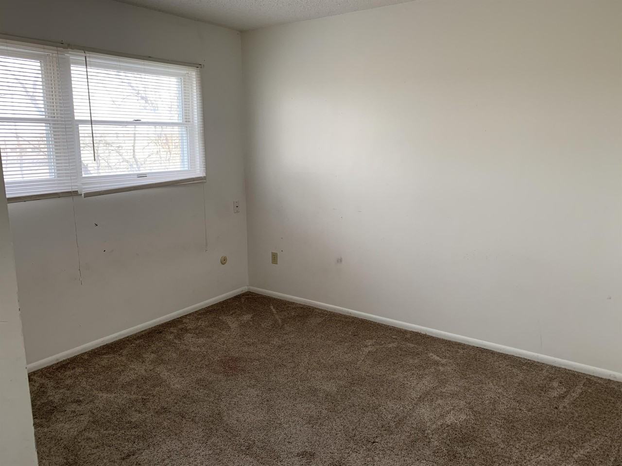 4231 Central Avenue #4 - Photo 3 of 10