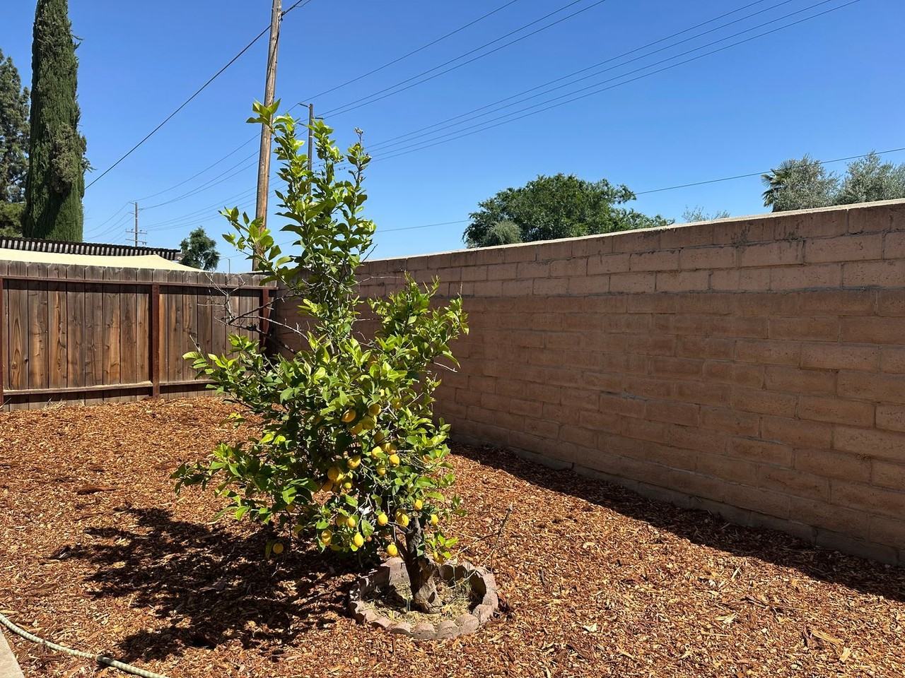 1930 South Royal Oaks Drive - Photo 4 of 6