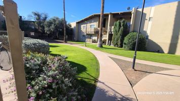 featured image of 2525 North Alvernon Way