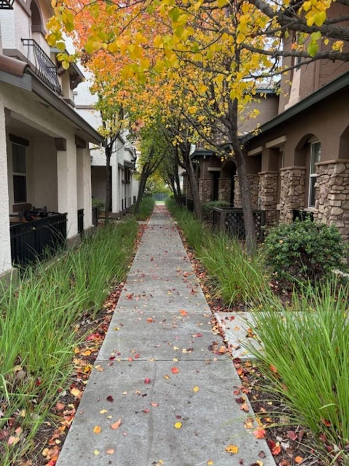 2204 Las Palomas Loop - Photo 7 of 8