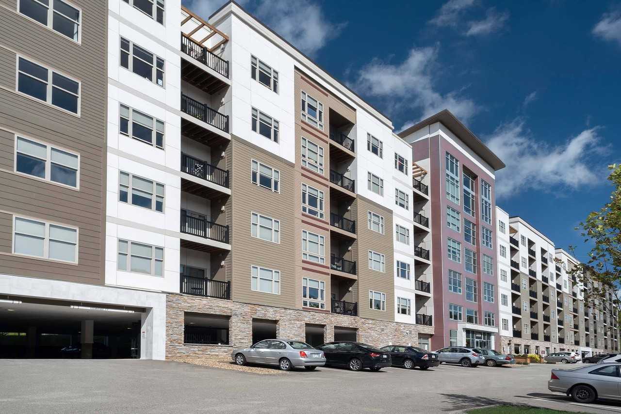 Cosmopolitan Apartments - Photo 4 of 20