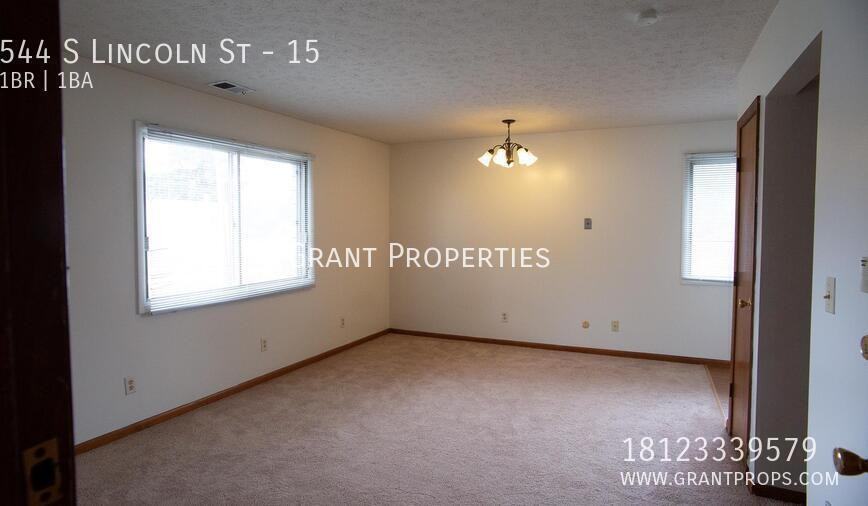 544 South Lincoln Street #15 - Photo 4 of 15
