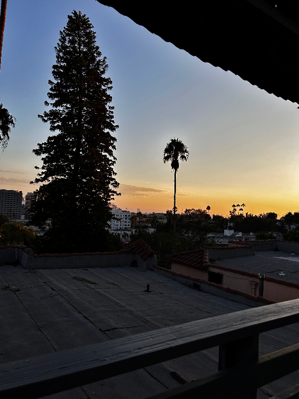 6220 Los Angeles #6214A - Photo 3 of 12