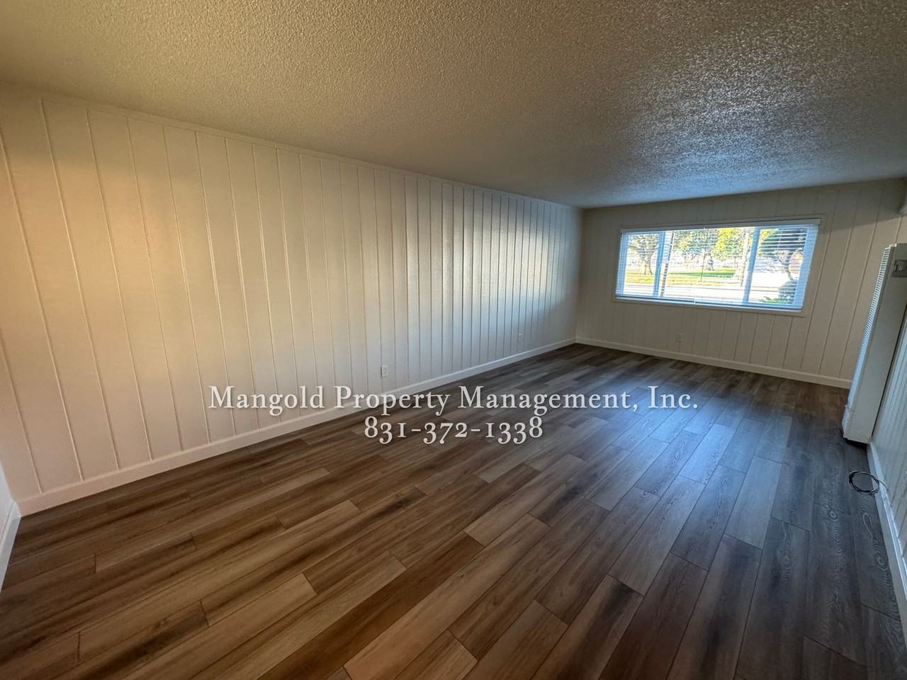 laurel - Photo 2 of 31