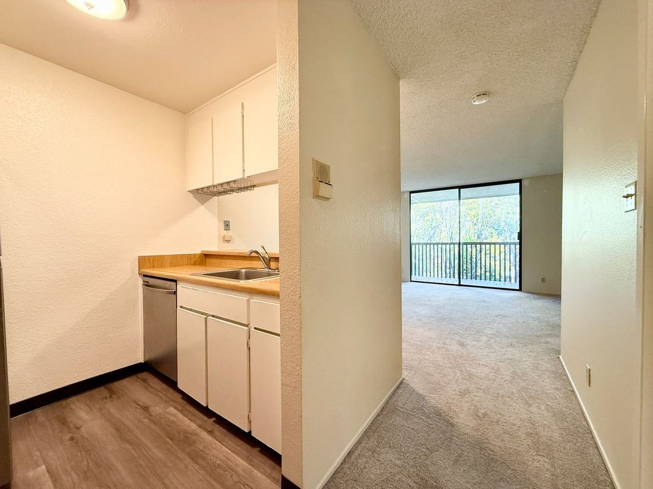 6350 Shelter Creek Lane - Photo 3 of 22