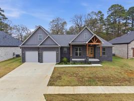 featured image of Denali Drive