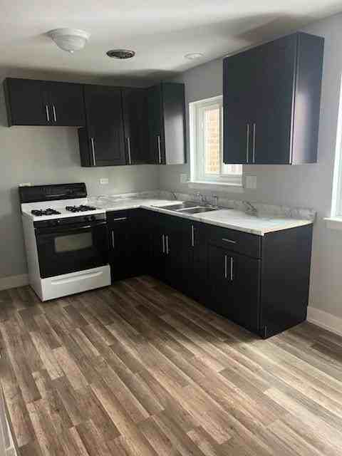 8741 South Cottage Grove Avenue #1E - Photo 3 of 6