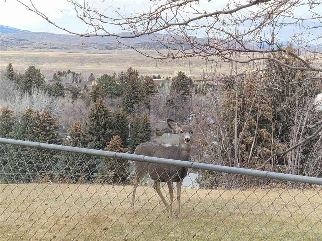 1007 View St - Photo 6 of 44