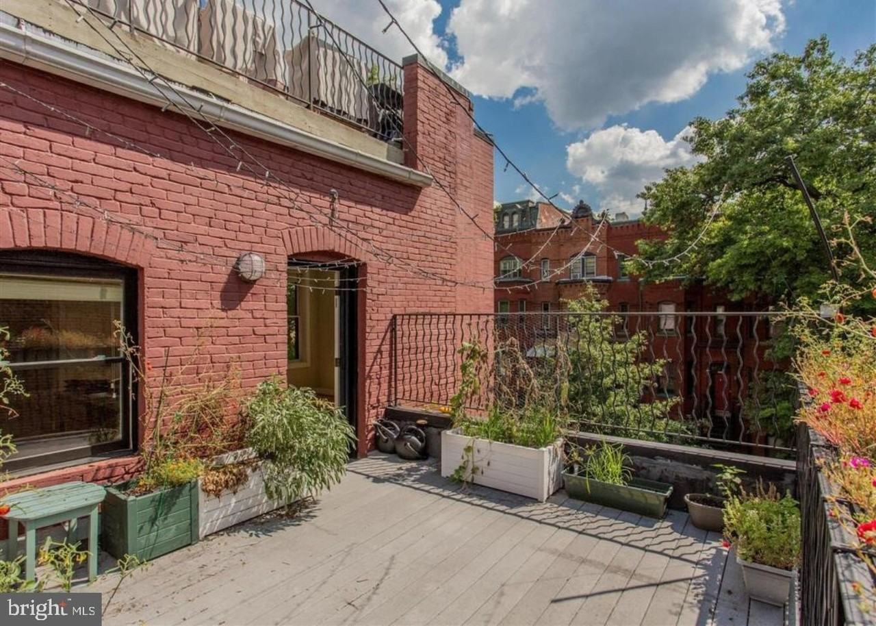 500 M Street Northwest #3 - Photo 6 of 21