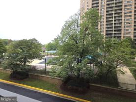 5501 Seminary Road #214S - Photo 1 of 1