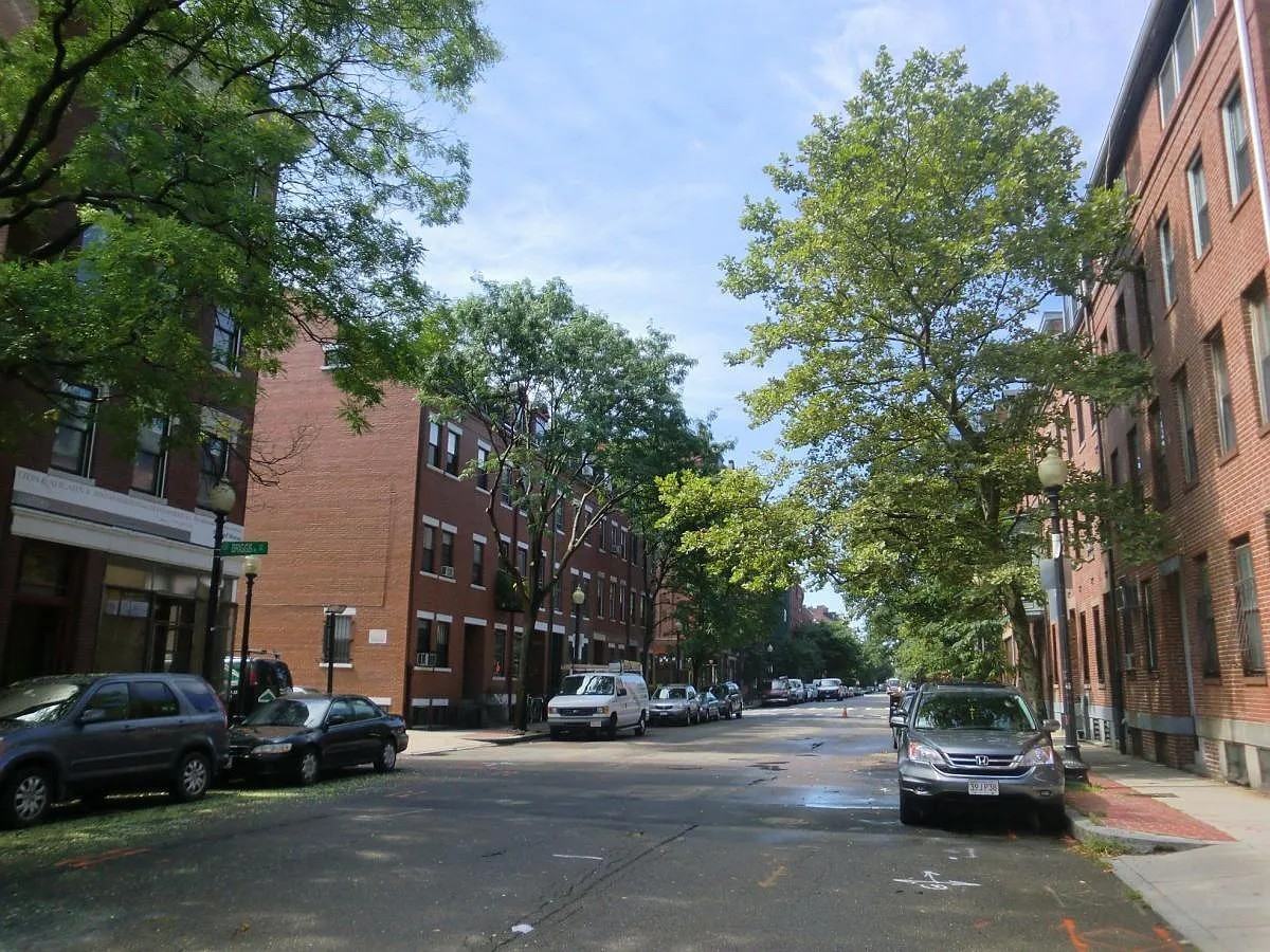 231 Shawmut Ave #1 - Photo 5 of 20