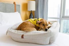 1122 Madison St - Photo 1 of 1