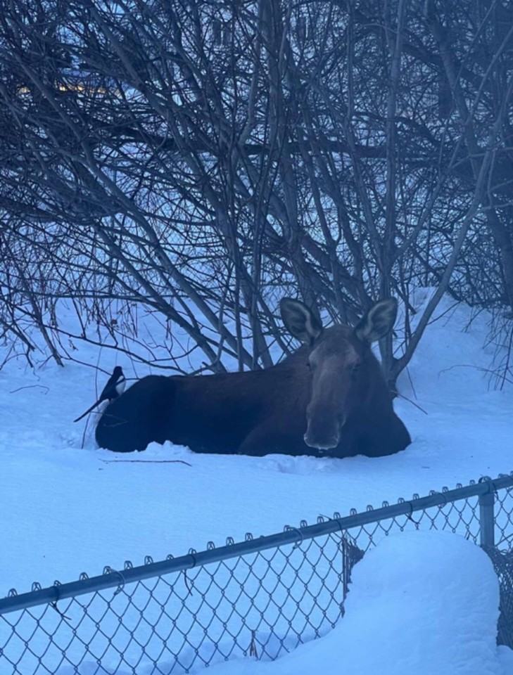 319 West 12th Avenue #1284534P - Photo 5 of 15