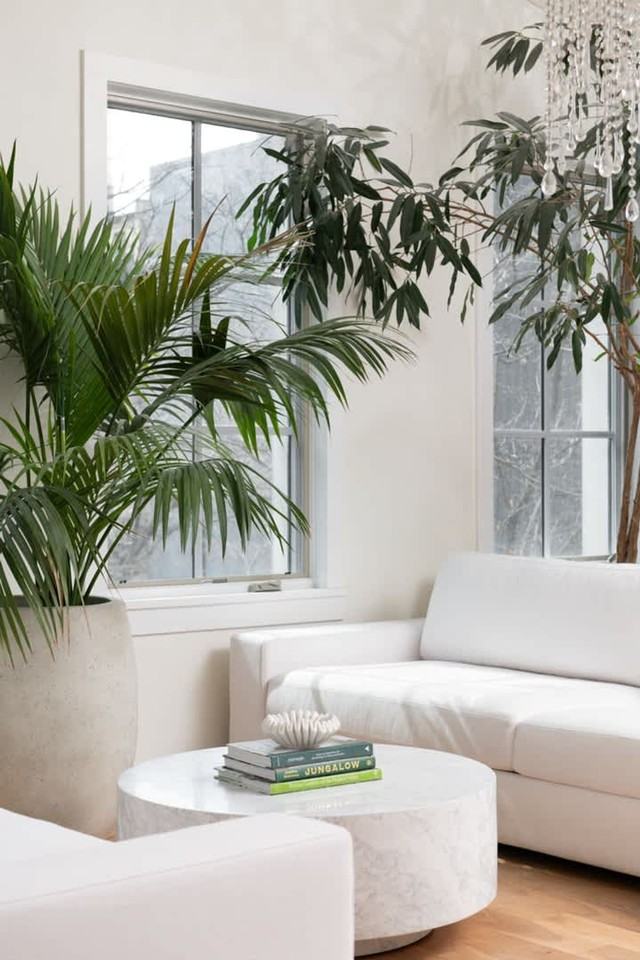 22 E Elm St #1364276P - Photo 4 of 50