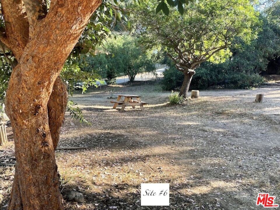 41322 De Luz Rd #41322-15 - Photo 5 of 24