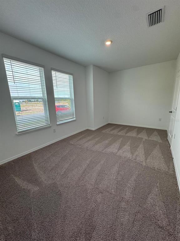 12767 Harvest Rain Ave #12767 - Photo 3 of 20