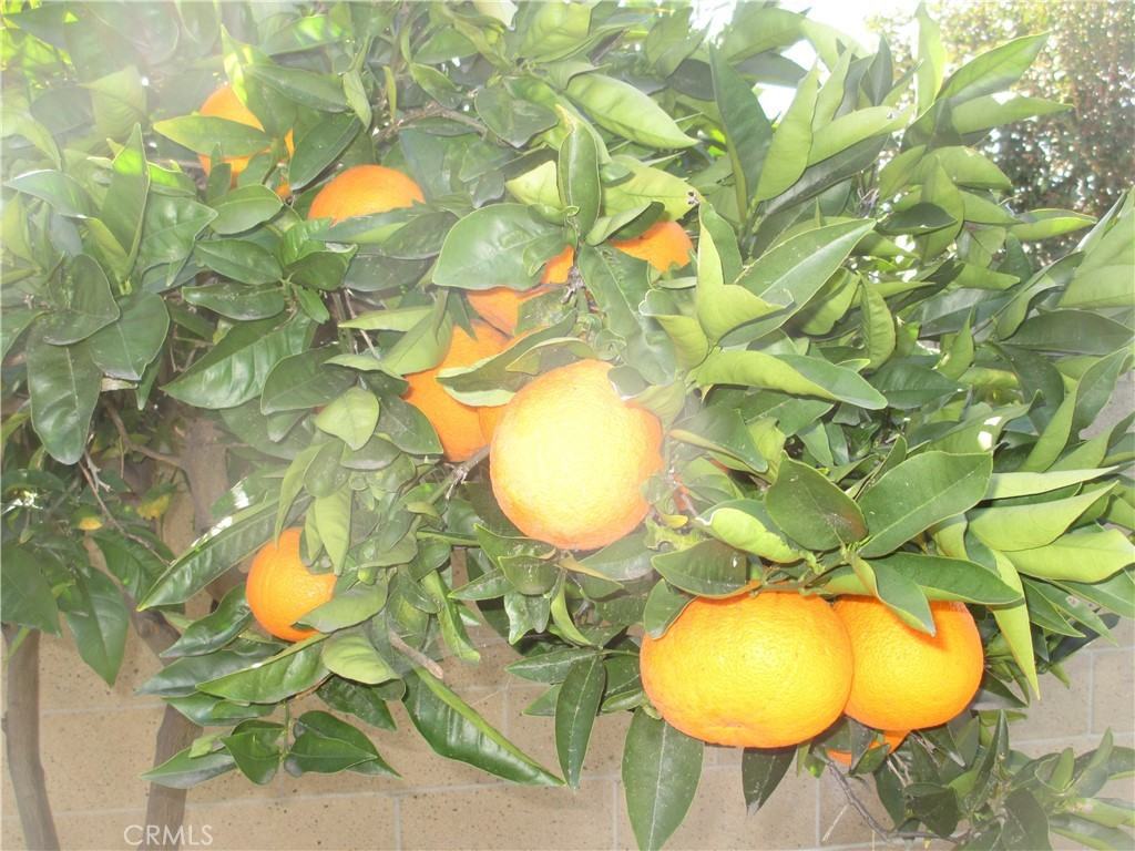 2281 Faust Ave #2281 - Photo 3 of 41