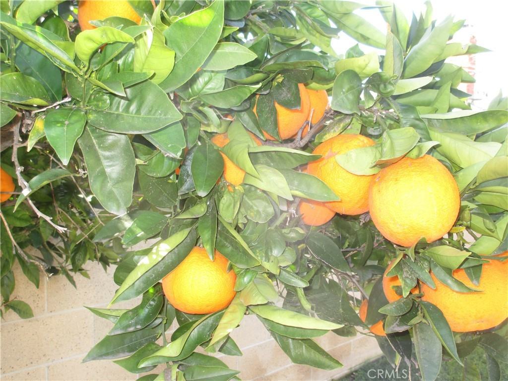 2281 Faust Ave #2281 - Photo 4 of 41