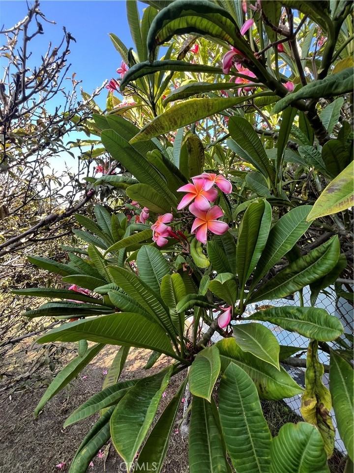 1355 West 49th Street #1355 - Photo 2 of 40