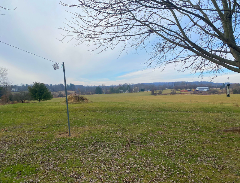 1953 Route - Photo 3 of 19