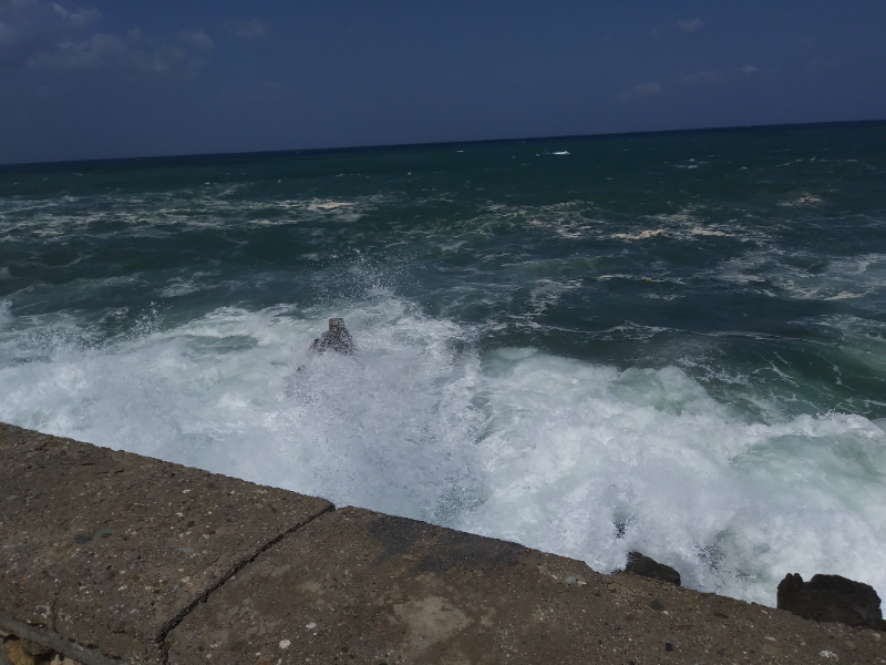 1176 Panda Road - Photo 2 of 2