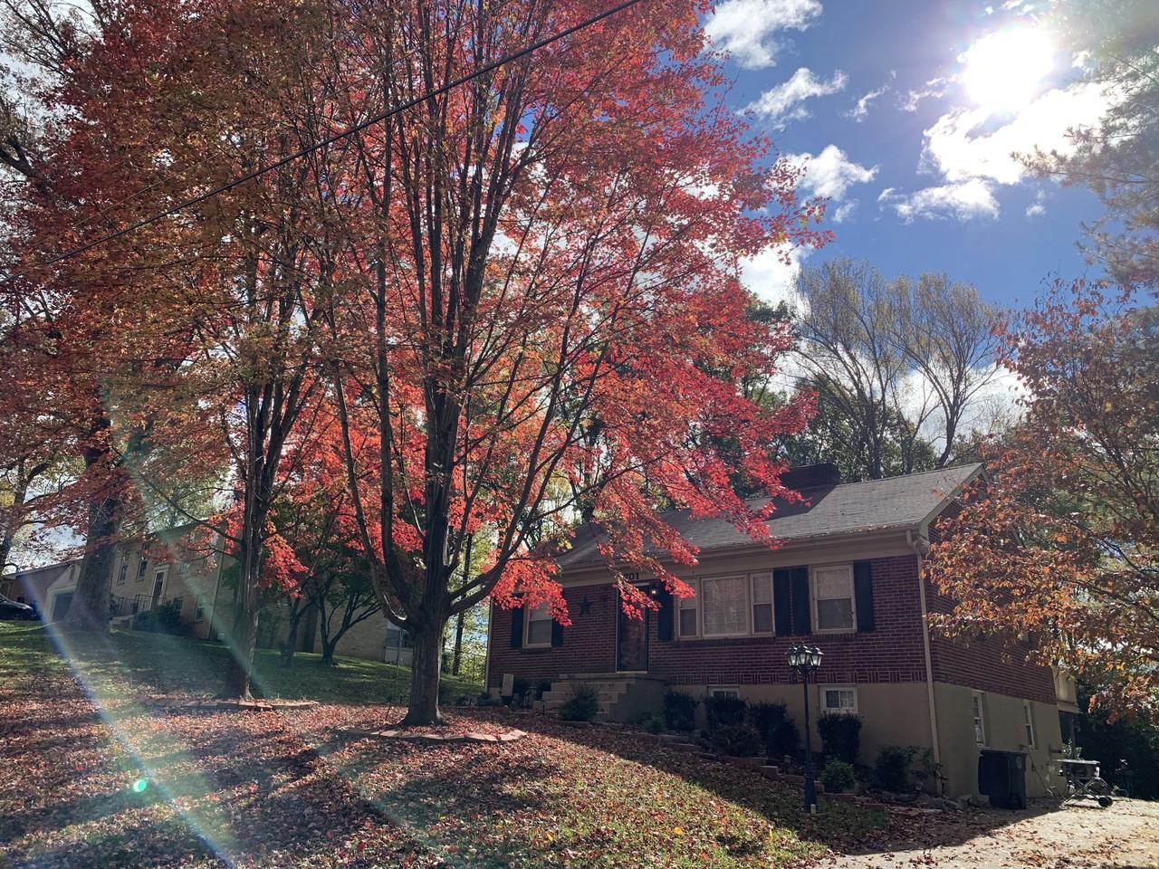 701 Fleetwood Dr #B - Photo 2 of 20