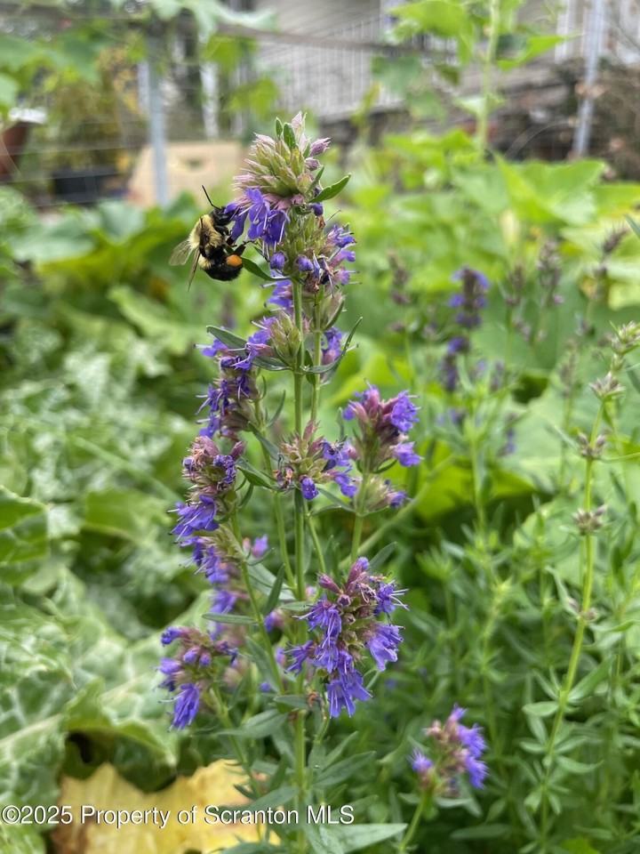 910 Bernard Ave - Photo 2 of 17