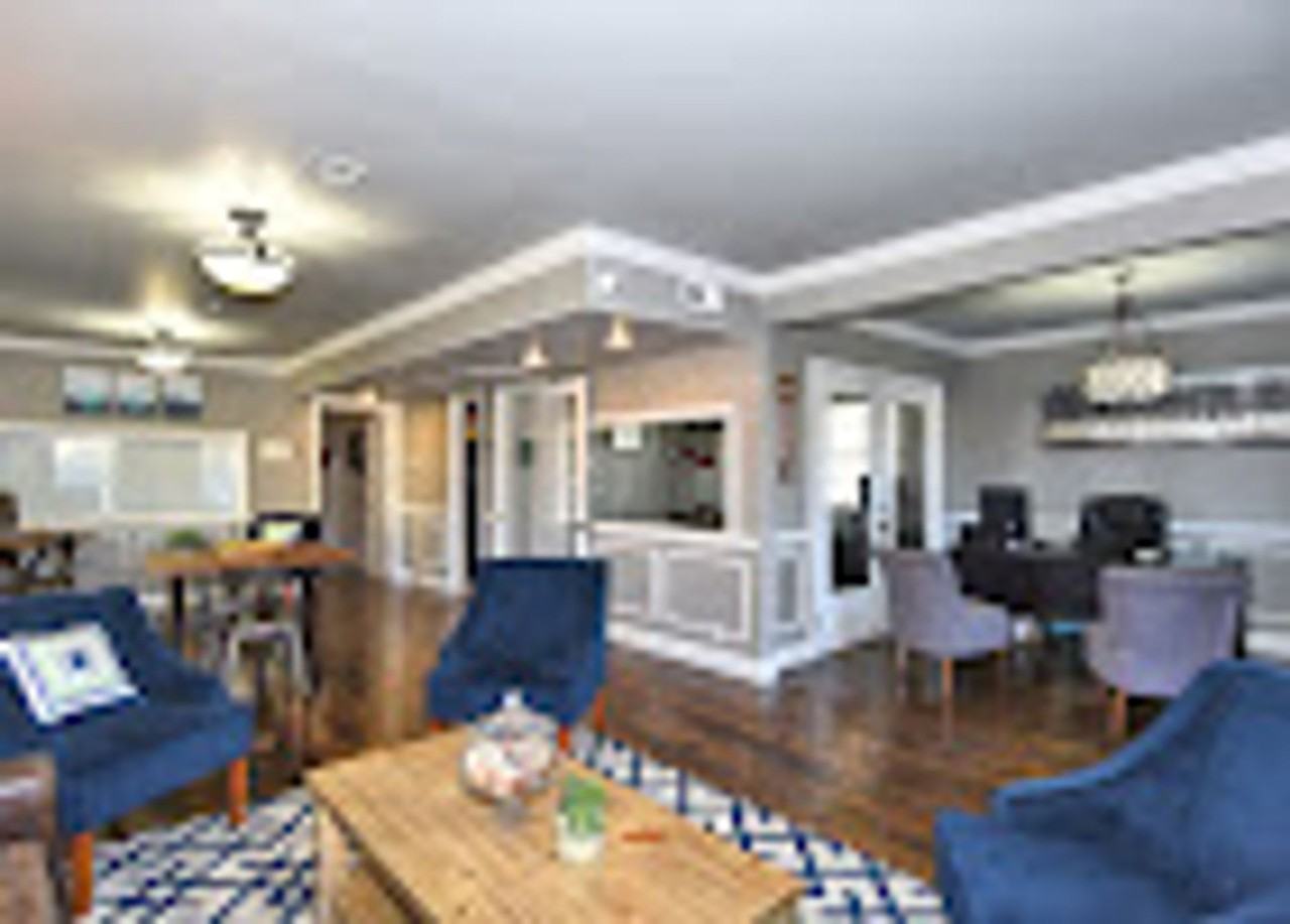 Evergreen - Photo 2 of 50