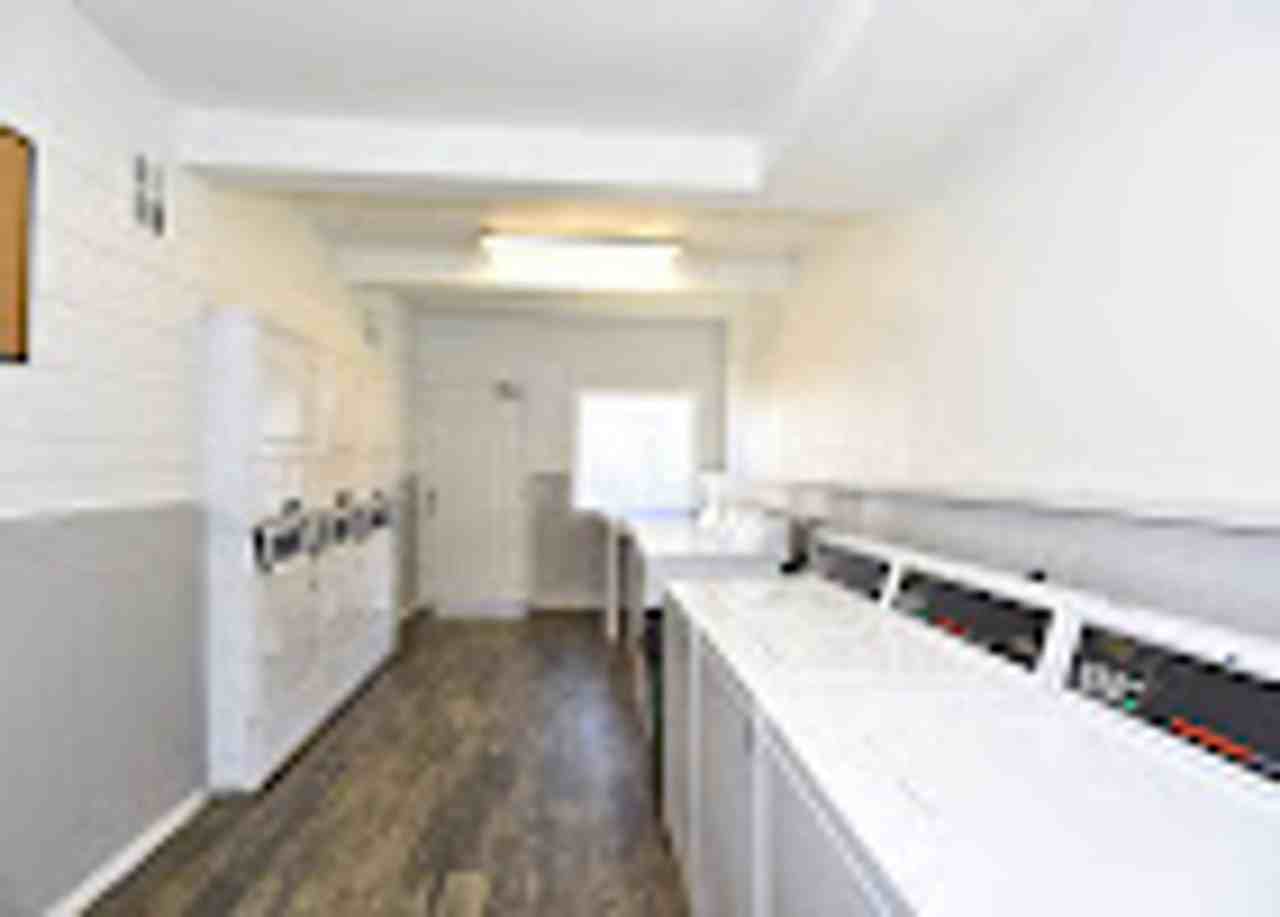 Evergreen - Photo 4 of 50