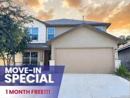 featured image of 423 Fly Catcher