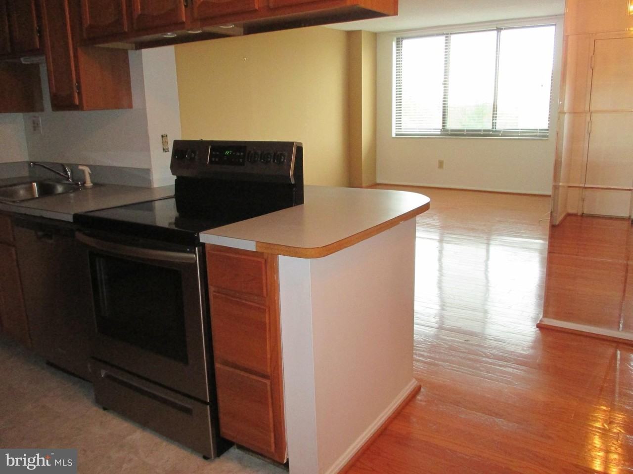 5500 Holmes Run Pkwy Apt 413 #413 - Photo 2 of 8