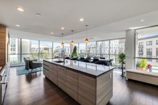 708 Long Bridge Street #407 - Photo 1 of 1