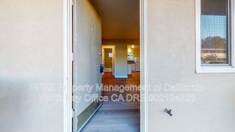 560 Dexter Street #K - Photo 2 of 16