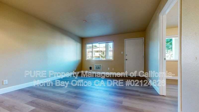 560 Dexter Street #K - Photo 4 of 16