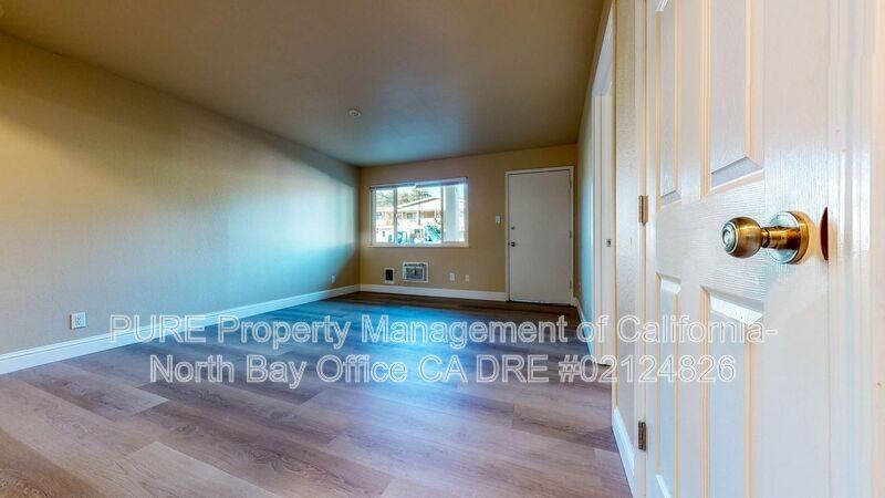 560 Dexter Street #K - Photo 5 of 16