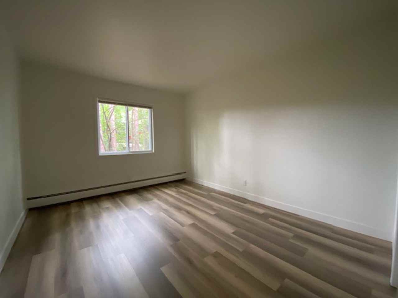 1016 Grand Ave - Photo 4 of 12