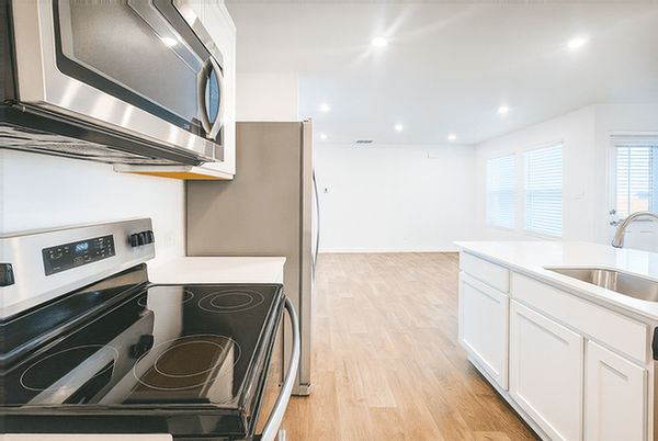 Organ Pipe Cactus #NA - Photo 3 of 23