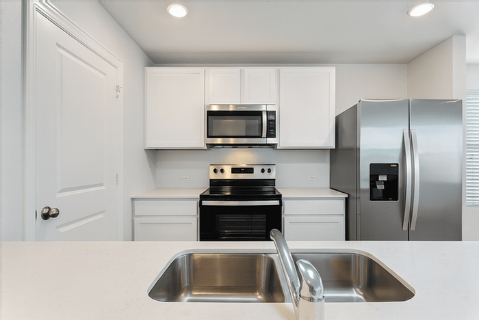 Organ Pipe Cactus #NA - Photo 4 of 23