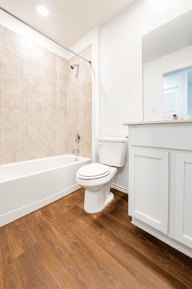 Organ Pipe Cactus #NA - Photo 7 of 23