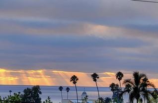 7547 Miramar Avenue #ROOM - Photo 1 of 1