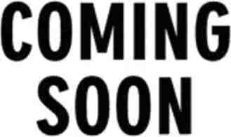 24023 Tirso River Ct - Photo 1 of 1