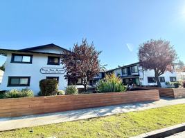 featured image of 248 Coombs Street