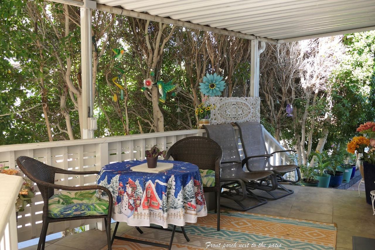 69333 East Palm Canyon Drive #176 - Photo 4 of 14