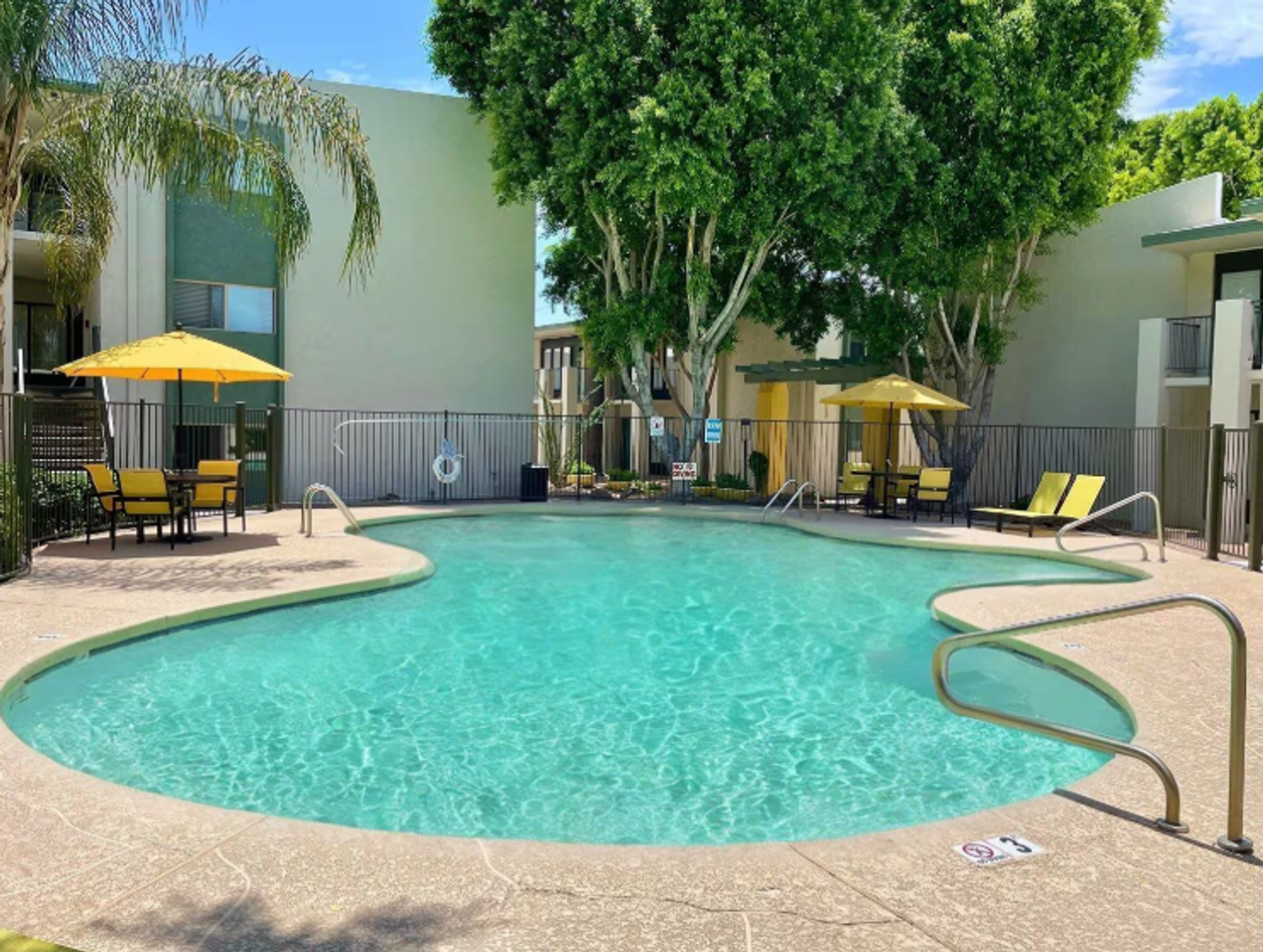 Sora on Rose - Photo 4 of 27