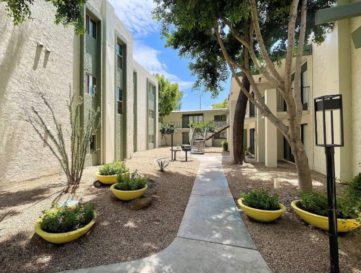 Sora on Rose - Photo 7 of 27